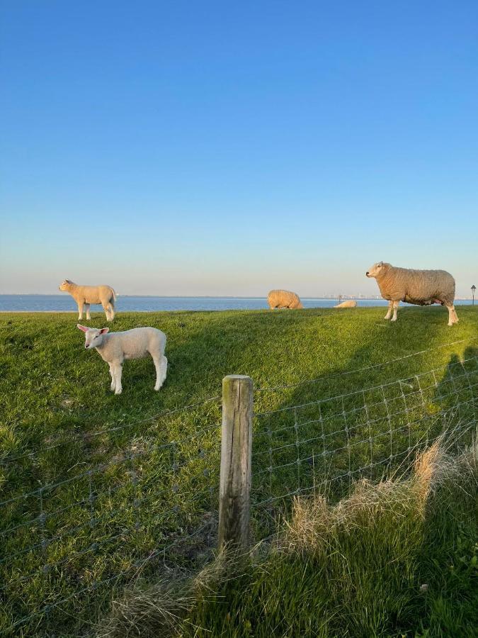 Ferienwohnung Hein Am Nordseedeich Butjadingen Buitenkant foto