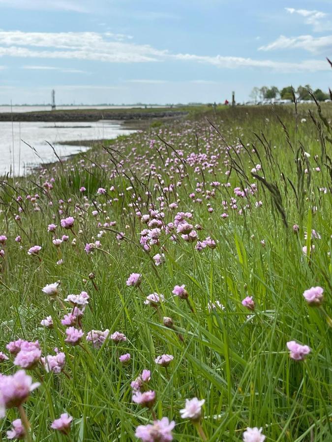 Ferienwohnung Hein Am Nordseedeich Butjadingen Buitenkant foto